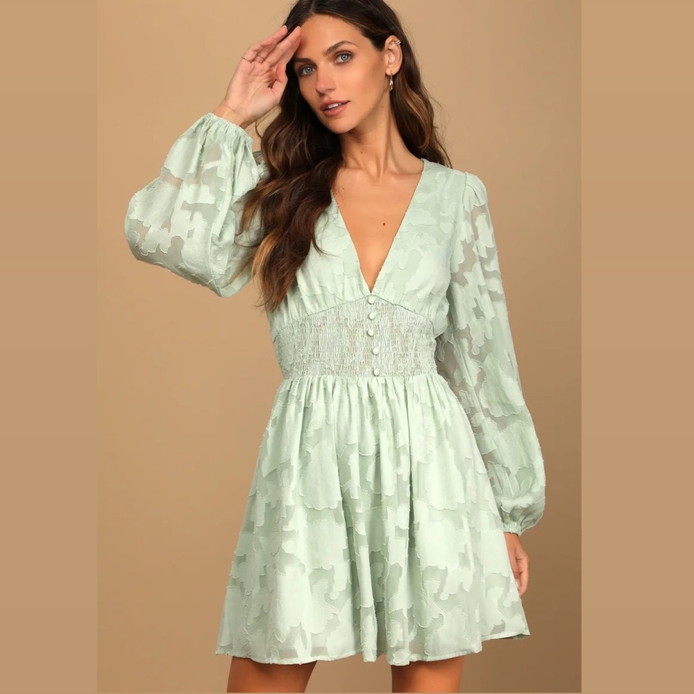 NWT Lulus Dress Tomorrow and Always Light Sage Green Burnout Floral Mini Dress